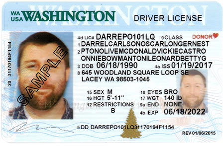 drivers license background check washington